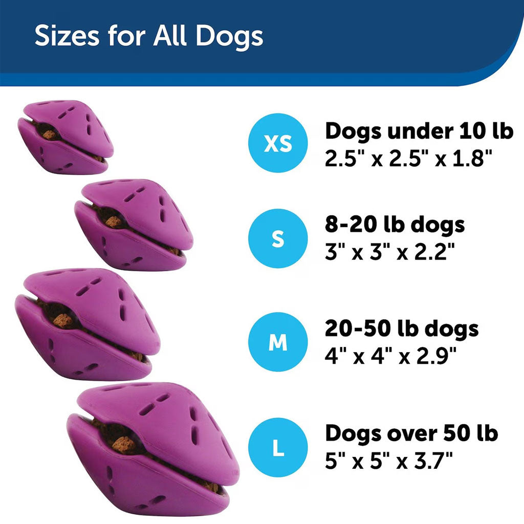 PetSafe Twist 'n Treat: Interactive Treat Dispensing Dog Toy