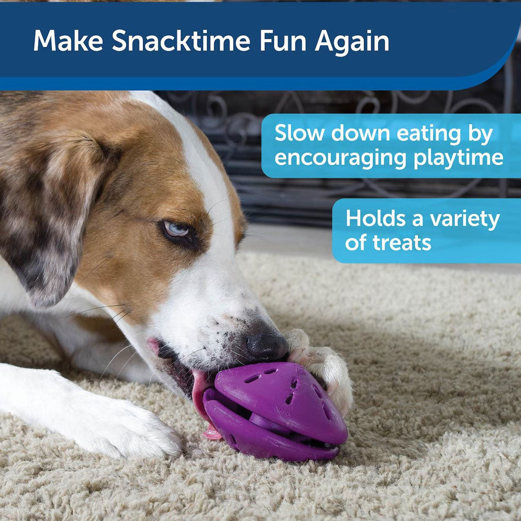 PetSafe Twist 'n Treat: Interactive Treat Dispensing Dog Toy