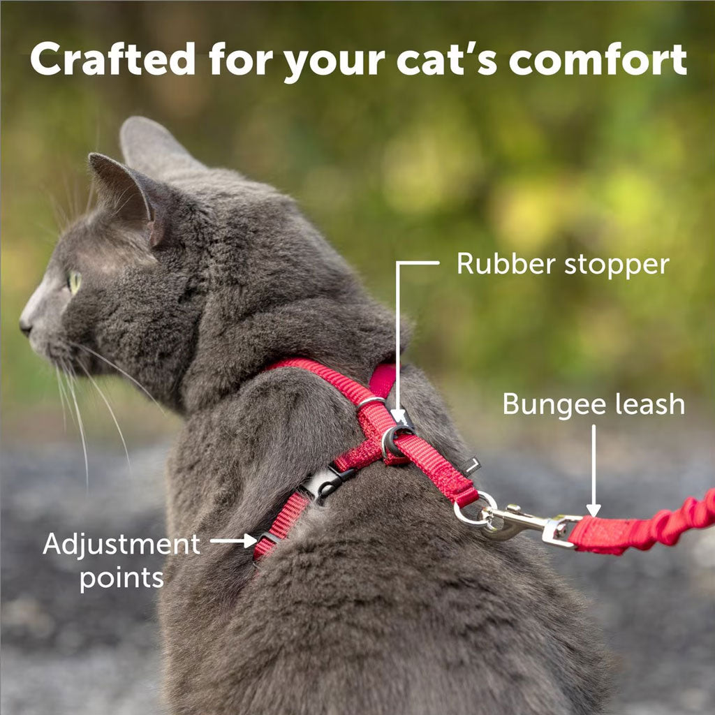 cat leash Come with Me Kitty Harness & Bungee Leash Large / Dusty Rose