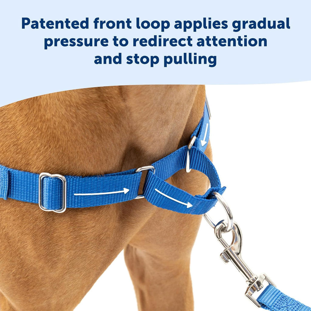 PetSafe Deluxe Easy Walk Harness: No Pull Solution for Dogs