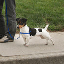 PetSafe Deluxe Easy Walk No Pull Dog Harness, Ocean/Black