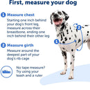 PetSafe Deluxe Easy Walk No Pull Dog Harness, Apple/Black