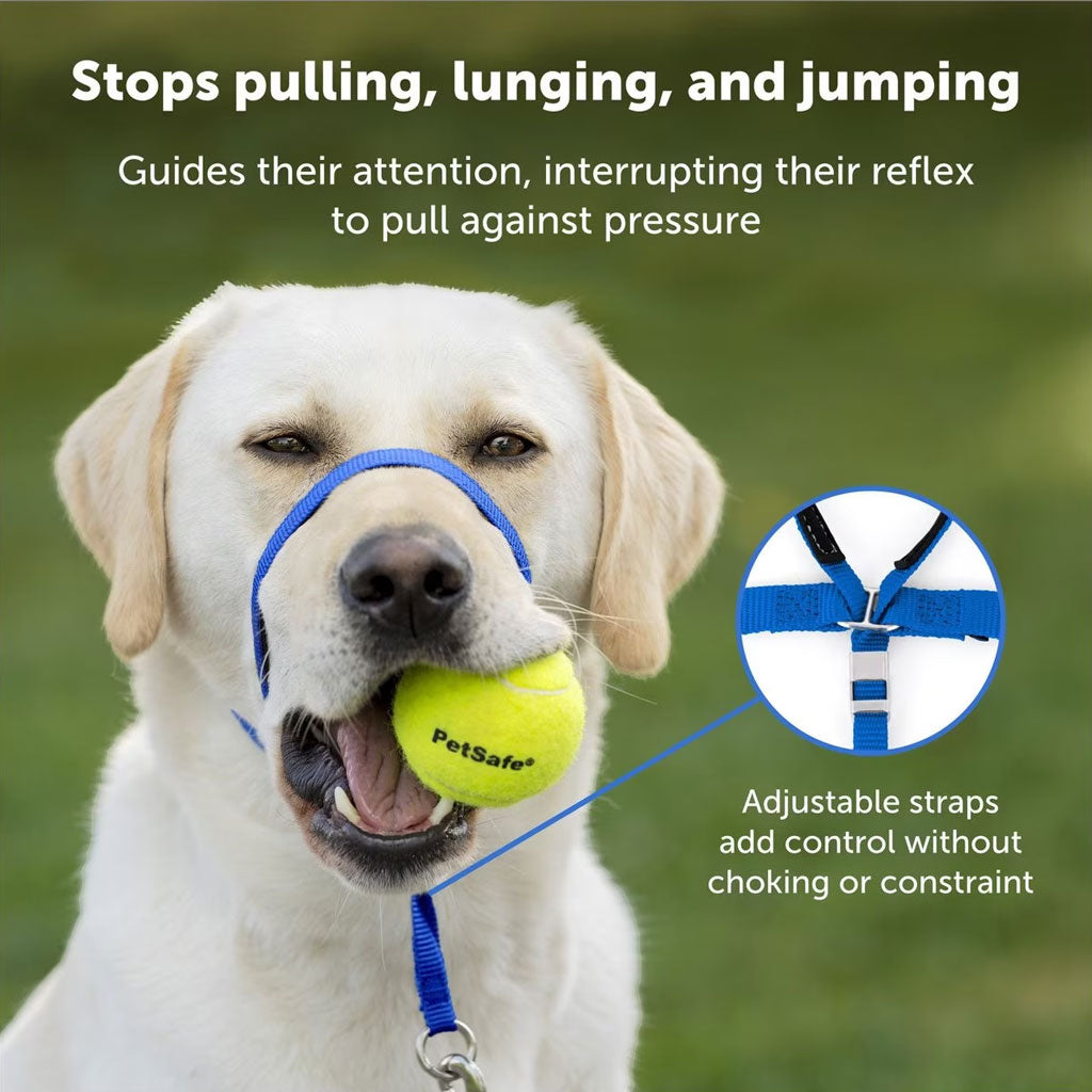 PetSafe Gentle Leader Headcollar for Dogs Raspberry Comfort
