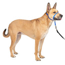 PetSafe Gentle Leader Headcollar for Dogs, Royal Blue Medium