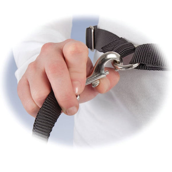 PetSafe Nylon Hands-Free Running Dog Leash