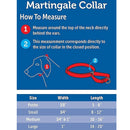 PetSafe Nylon Martingale Dog Collar, Large