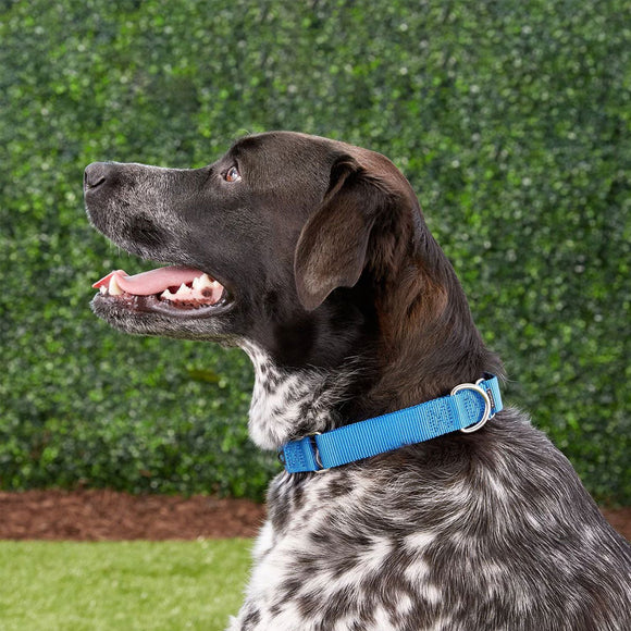 PetSafe Nylon Martingale Dog Collar, Large
