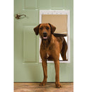 PetSafe Plastic Pet Door for Dogs & Cats, White