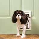PetSafe Plastic Pet Door for Dogs & Cats, White