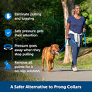 PetSafe Soft Point Dog Training Collar, Black