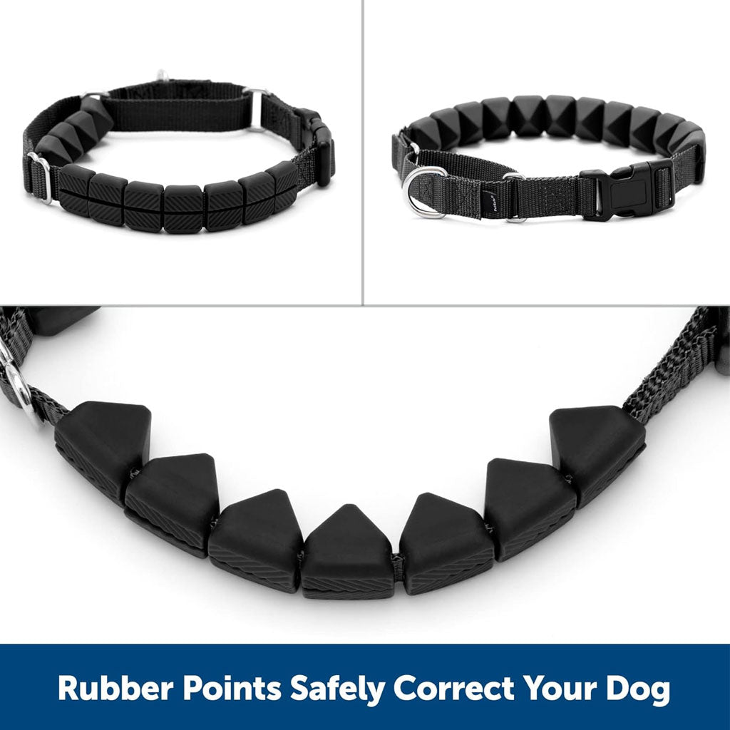 PetSafe Training Collar: Gentle Correction for Dogs