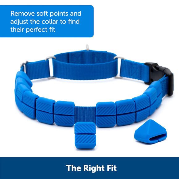 PetSafe Soft Point Dog Training Collar, Blue