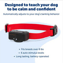 PetSafe Static Basic Waterproof Dog Bark Collar