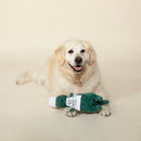 PetShop by Fringe Studio BBQ Rex Dinosaur Plush Dog Toy