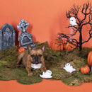 PetShop by Fringe Studio Boo-Yah Dog Toy Set (3 pack)