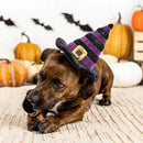 Dog wearing a Halloween witch hat with pumpkins and bats in the background