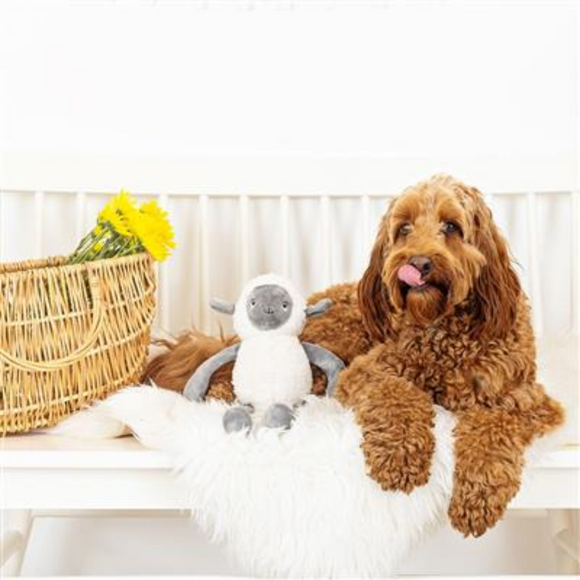 PetShop by Fringe Studio Little Lamby Plush Dog Toy - Plush Dog Toys 3