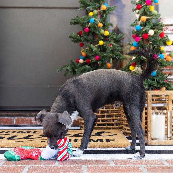 Dog playing with a toy on a doormat in front of a decorated Christmas tree.