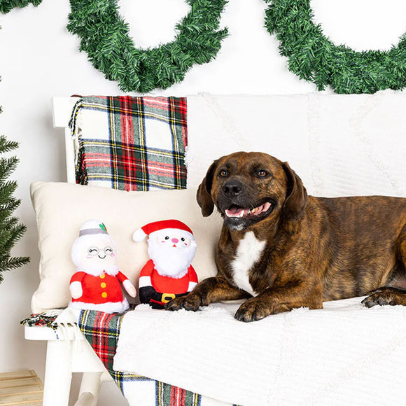 Dog sitting on a couch with Christmas decorations and Santa Claus plush toys.