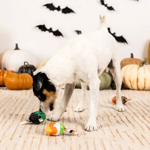 PetShop by Fringe Studio No Trick Just Treat Dog Toy Set Small 3-count - Dog Toys 4