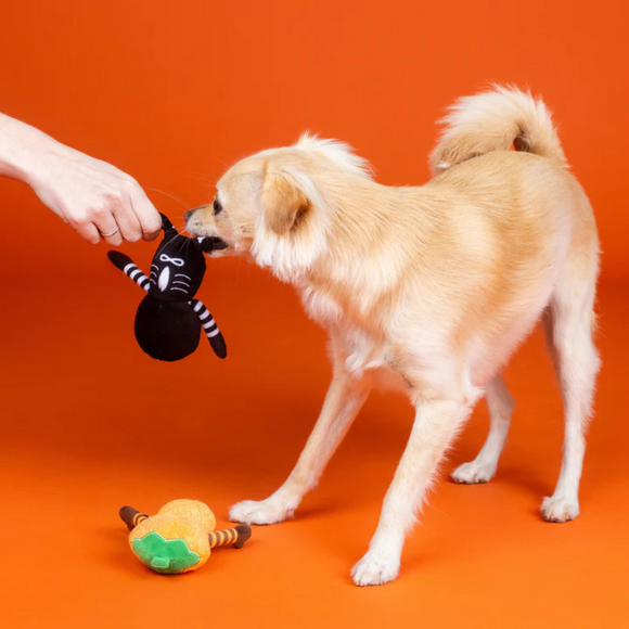 PetShop by Fringe Studio “Oh My Gourd!” 2-Piece Plush Dog Toy Set - Plush Dog Toys 4