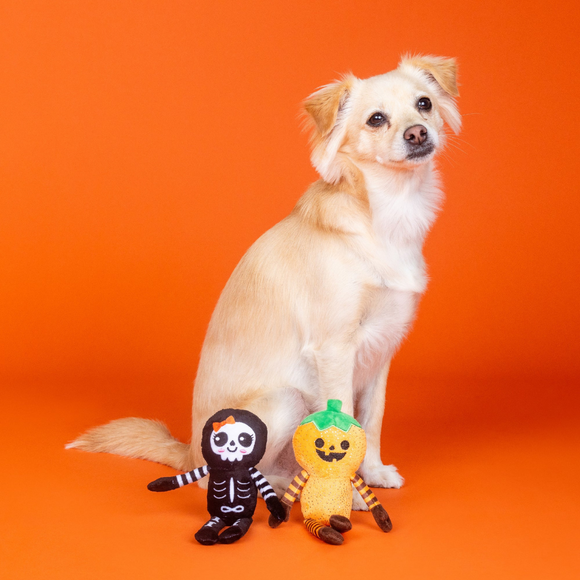 PetShop by Fringe Studio “Oh My Gourd!” 2-Piece Plush Dog Toy Set - Plush Dog Toys 3