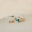 PetShop by Fringe Studio Sip Stay Vacay Muttcato Plush Dog Toy