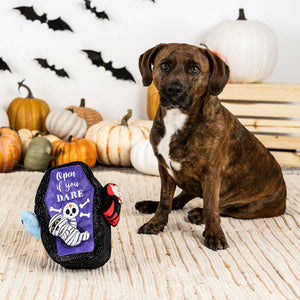 Dog sitting next to a Halloween-themed toy with pumpkins and bats in the background