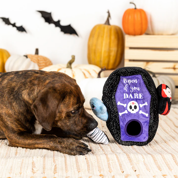 Petshop By Fringe Studio Sleep Tight Hide & Seek Toy For Dogs - Dog Toys 4