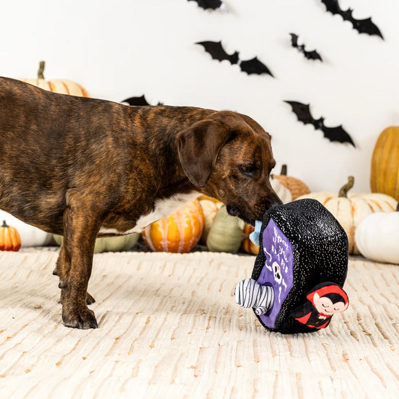 Petshop By Fringe Studio Sleep Tight Hide & Seek Toy For Dogs - Dog Toys 5