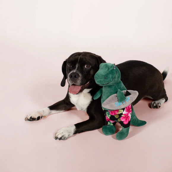 PetShop by Fringe Studio Surfer Bro Rex Dinosaur Plush Toy For Dog