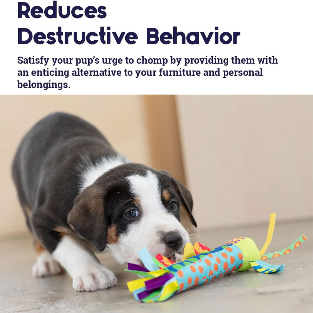 all for paws afp interactive food maze dog toy All For Paws Interactives Food Maze