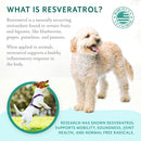 Petthrive Soft Chews with Resveratrol Advance Joint Care for Dogs