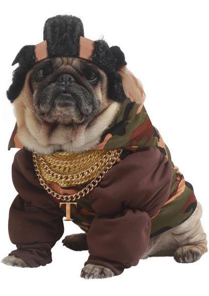 Pity the Fool Pet Costume Size Small Costume.