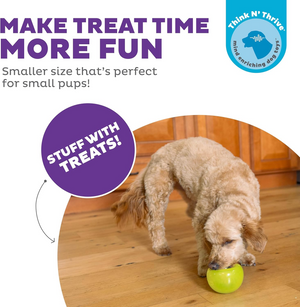 Planet Dog Orbee-Tuff Lil’ Snoop Interactive Treat Dispensing Toy Small - Dog Toys 2