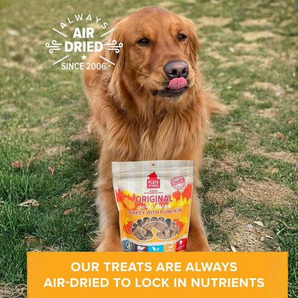 Plato Original Real Strips Turkey with Pumpkin Dog Treat Bars - Dog Treats 4