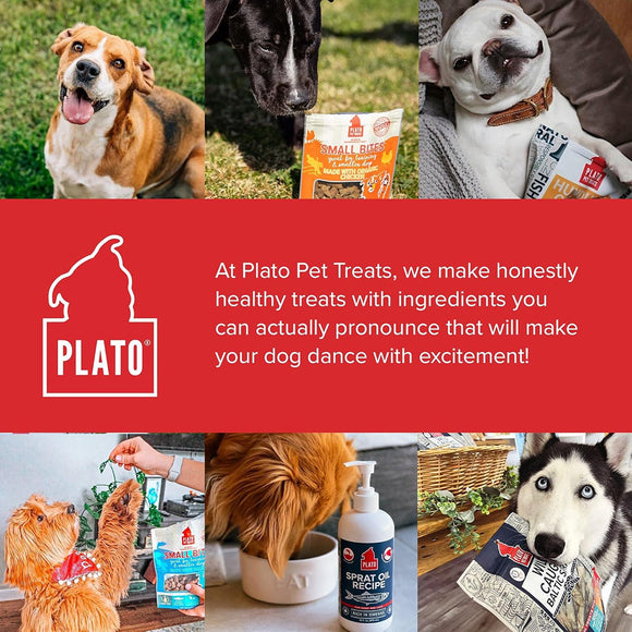 Plato Thinkes Real Lamb Recipe Sticks Dog Treats