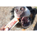 Plato Thinkes Real Salmon Recipe Sticks Dog Treats