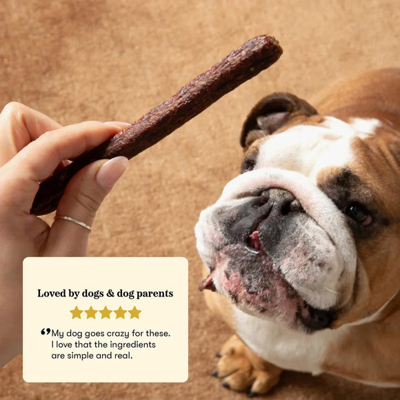 Plato Thinkes Real Salmon Recipe Sticks Dog Treats 18-oz - Dog Bones Bully Sticks Rawhide and Natural Chews 4
