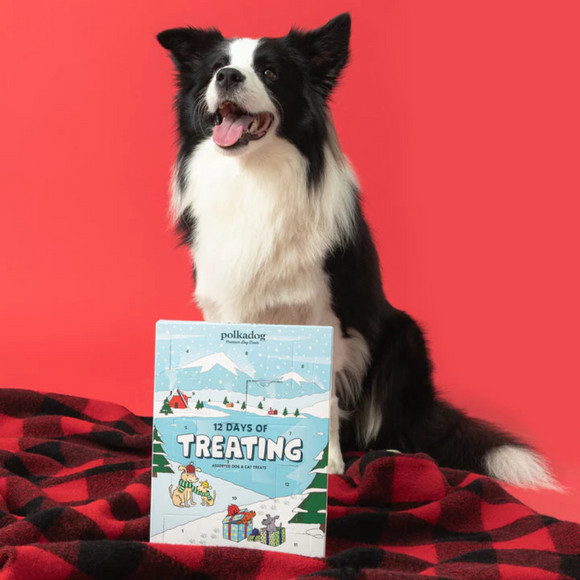 Polkadog 12 Days of Treating Assorted Dog & Cat Treat Holiday Calendar - Dog Treats 3