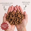 Polkadog Henny Penny Chicken & Cranberry Crunchy Training Bits for Dogs & Cats - Dog Treats 2