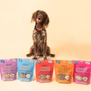 Polkadog Wonder Nuggets Sweet Potato & Beef Liver Soft & Chewy Bits for Dogs (10 oz) - Dog Treats 8
