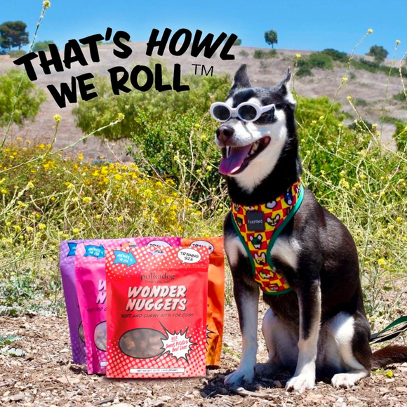 Polkadog Wonder Nuggets Sweet Potato & Beef Liver Soft & Chewy Bits for Dogs (10 oz) - Dog Treats 7