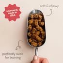 Polkadog Wonder Nuggets Sweet Potato & Beef Liver Soft & Chewy Bits for Dogs (10 oz) - Dog Treats 2