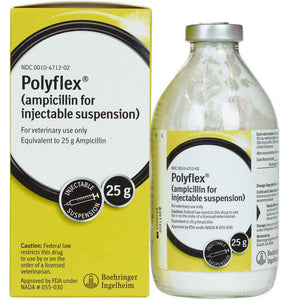 Polyflex (ampicillin) Injection 25 g (200 ml) - Antibiotics 1