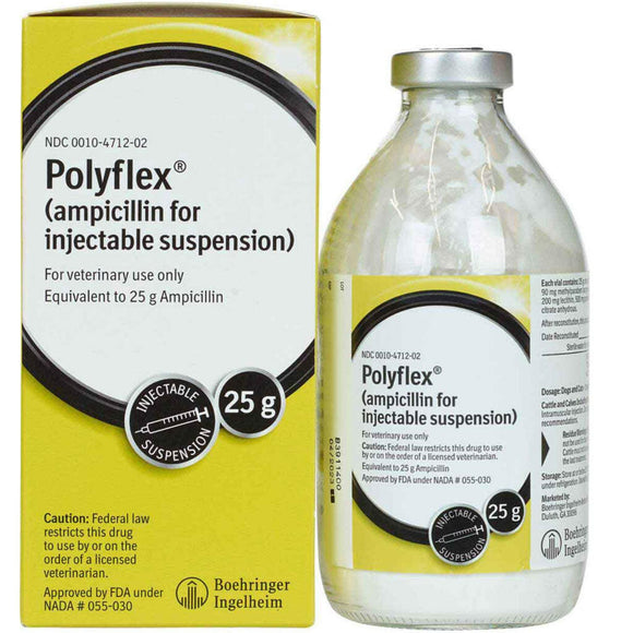 Polyflex (ampicillin) Injection 25 g (200 ml) - Antibiotics 1