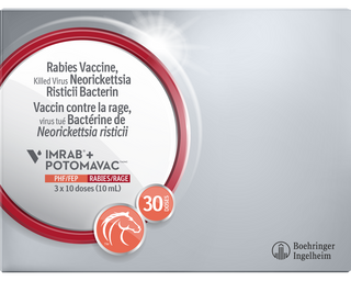 Equine Imrab + Potomavac Vaccine