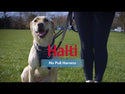 The Company of Animals Halti No Pull Harness For Dogs (Large)