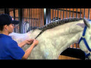Mane 'n Tail Spray 'n Braid for Horses-5
