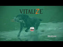 Vitalyze Recovery Gel Digestive Support for Dogs (15 ml)